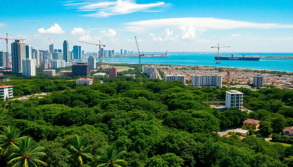 evolution of property markets