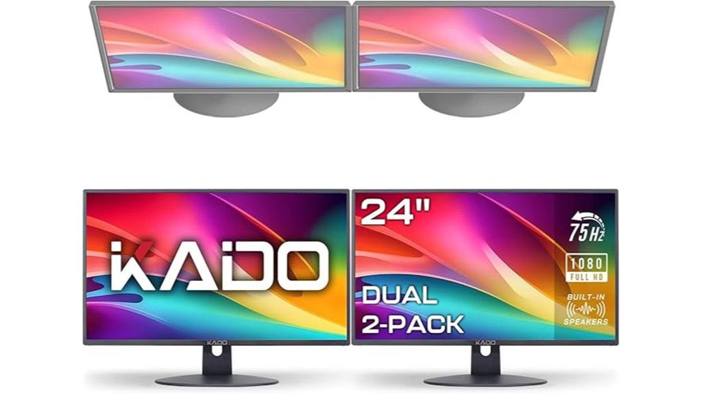 dual e24x monitor setup