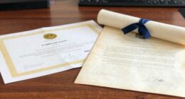 choosing between certificate or degree